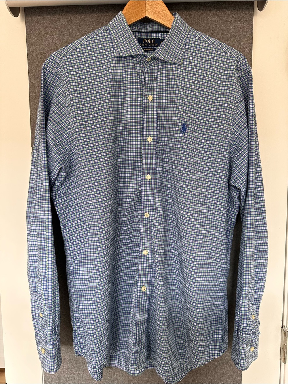 Polo by Ralph Lauren Green and Blue Micro-Check Dress Shirt